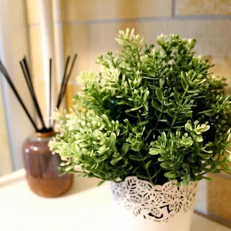 Apartment Reload Miskolc